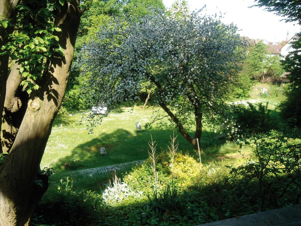 Hotel B&B Bredl In Der Villa Ballestrem اشتراوبينغ الغرفة الصورة